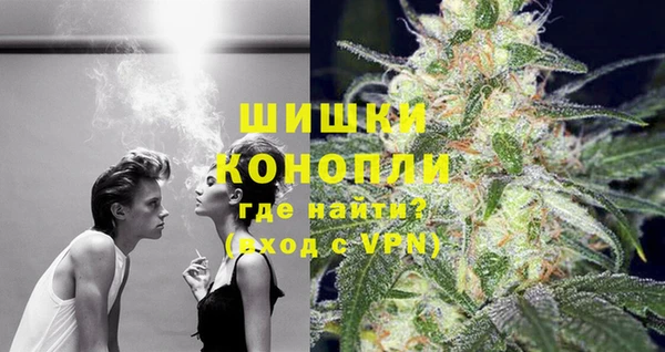 шишки Володарск