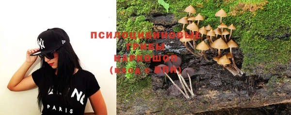 сатива Волосово