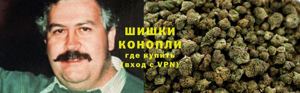 шишки Володарск
