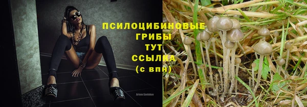 a pvp Семилуки