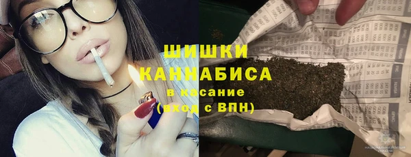 сатива Волосово