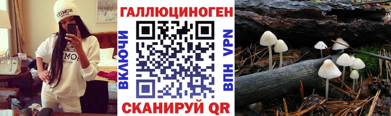 Галлюциногенные грибы Psilocybe  Остров 